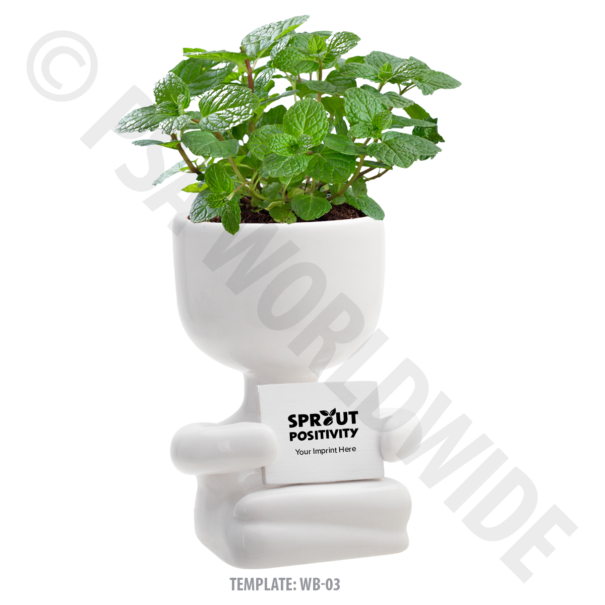 Product Small Image