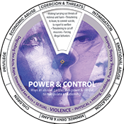 Power & Control Edu-Wheel