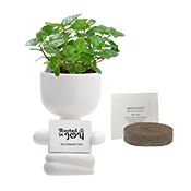 Positive Vibes Planter